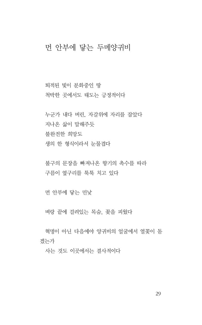꽃 24페이지