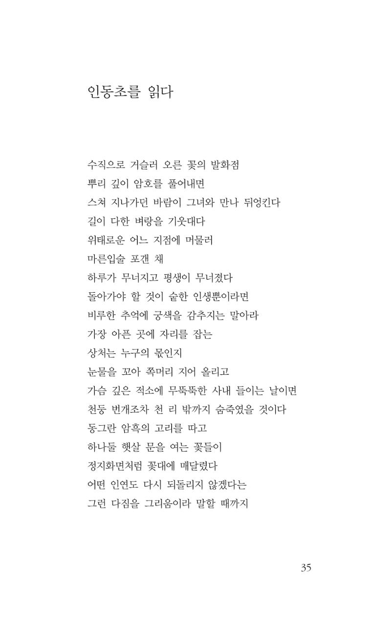 꽃 30페이지