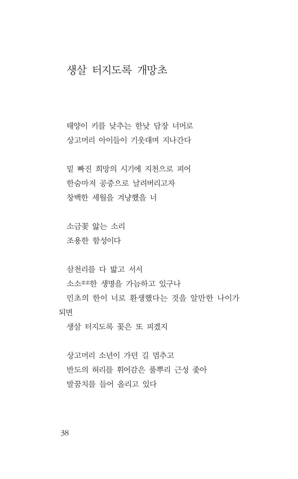 꽃 33페이지