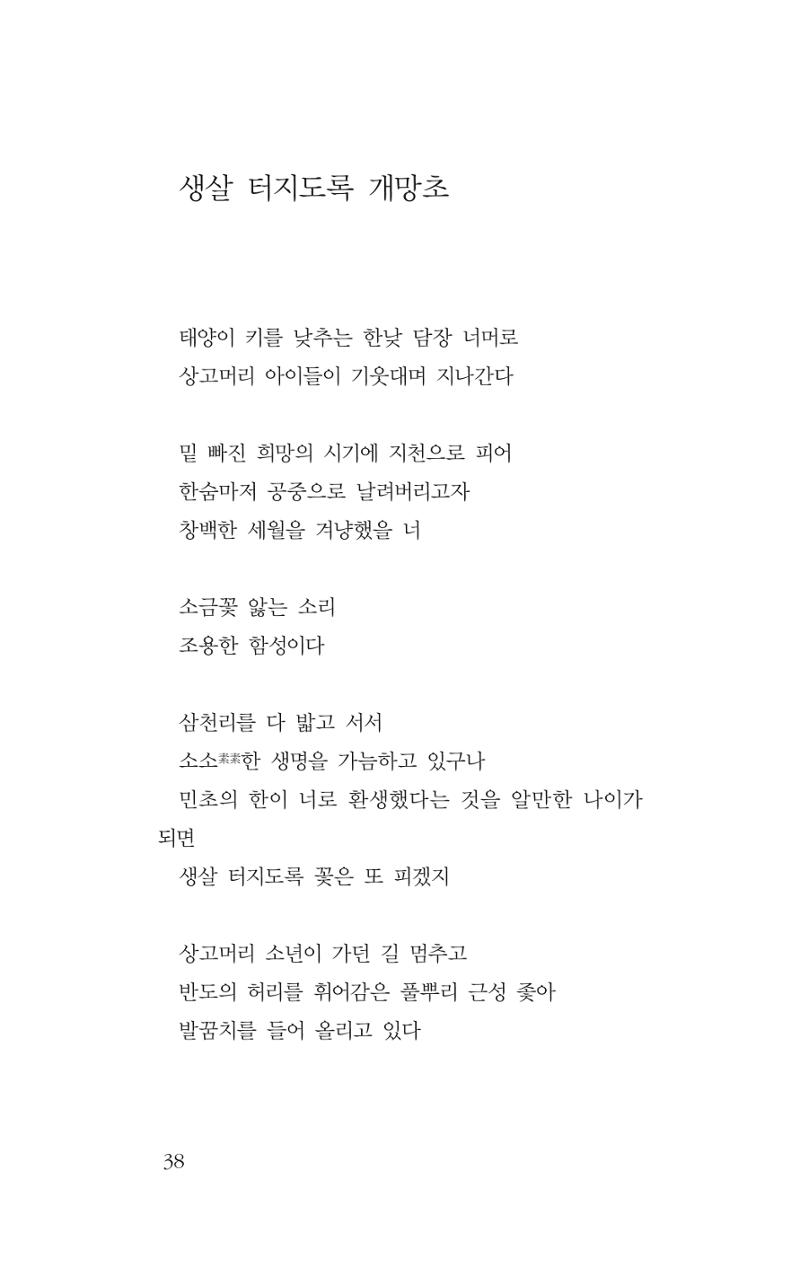 꽃 33페이지