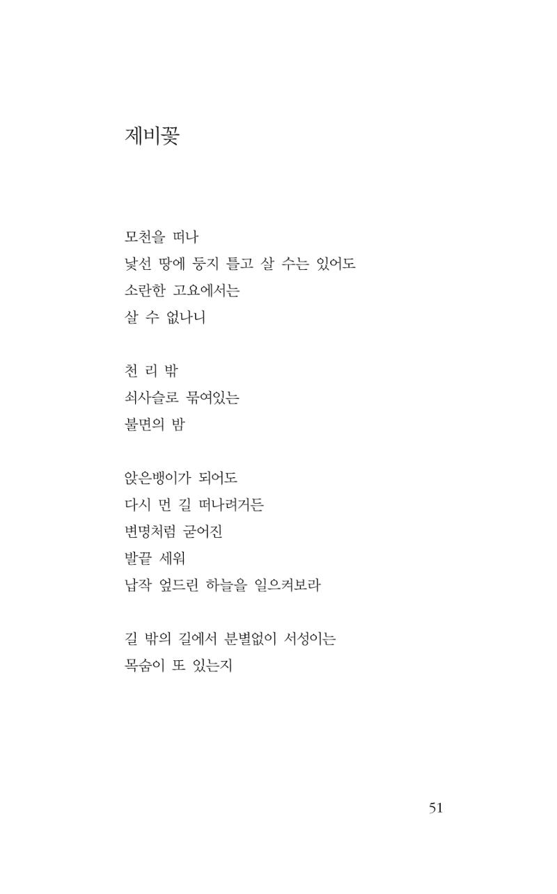 꽃 46페이지