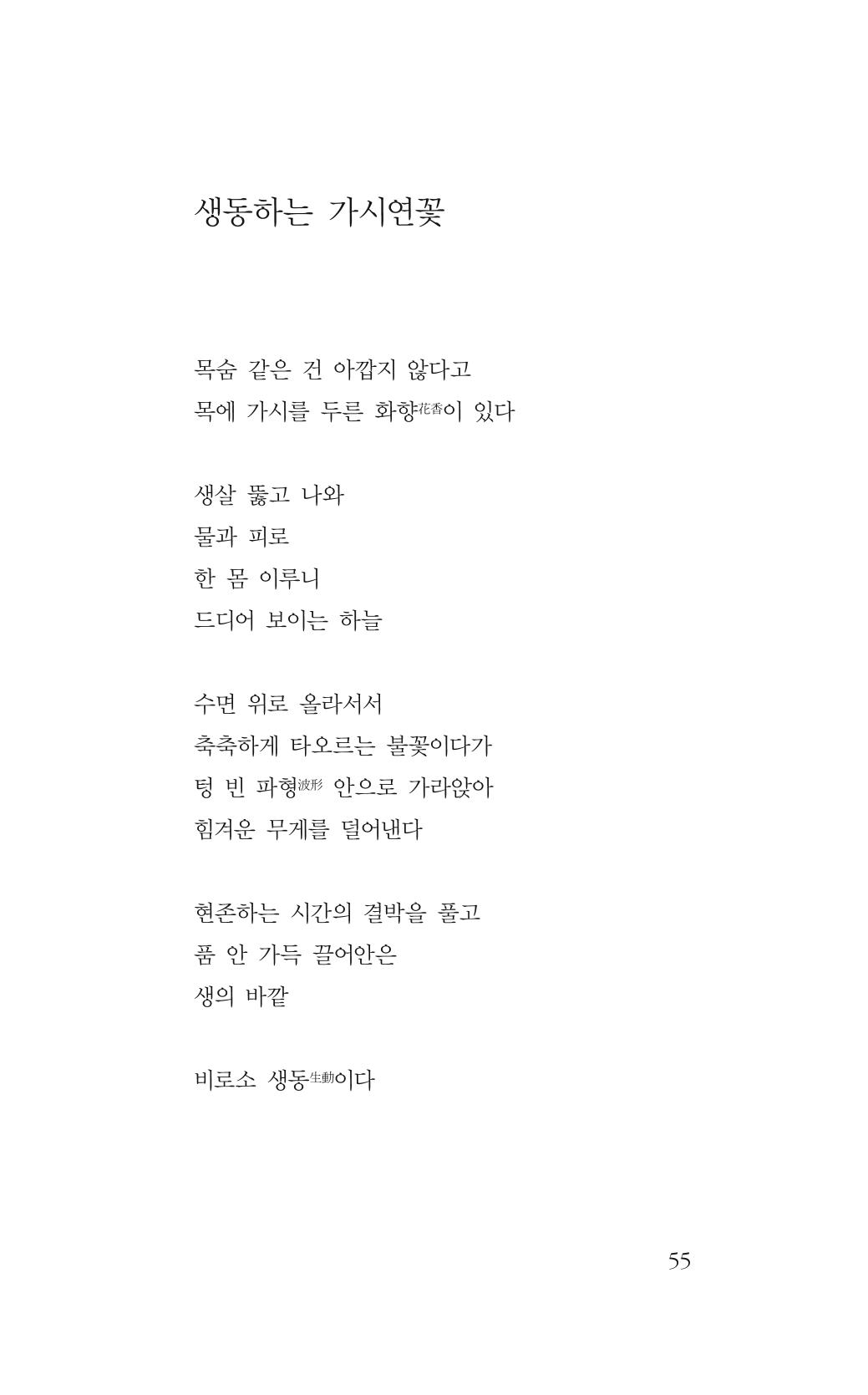 꽃 50페이지