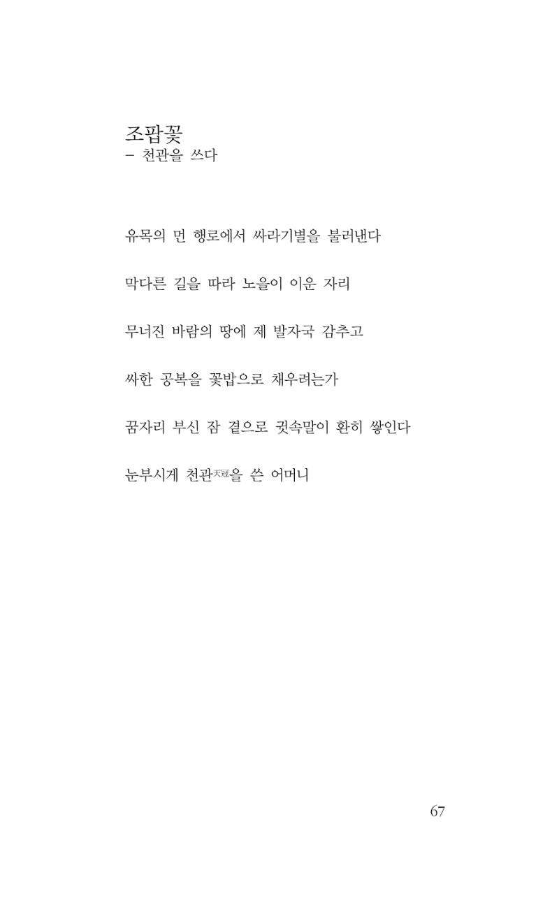 꽃 62페이지