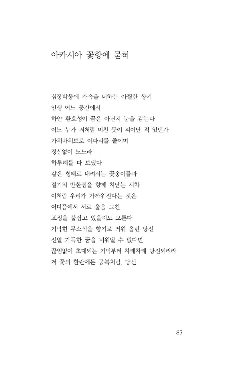 꽃 80페이지