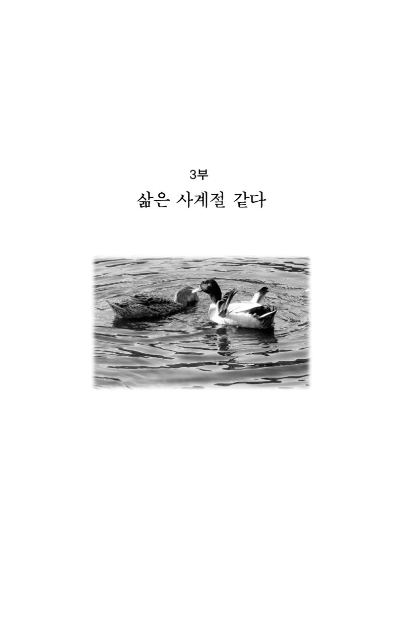 봄 아이 71페이지