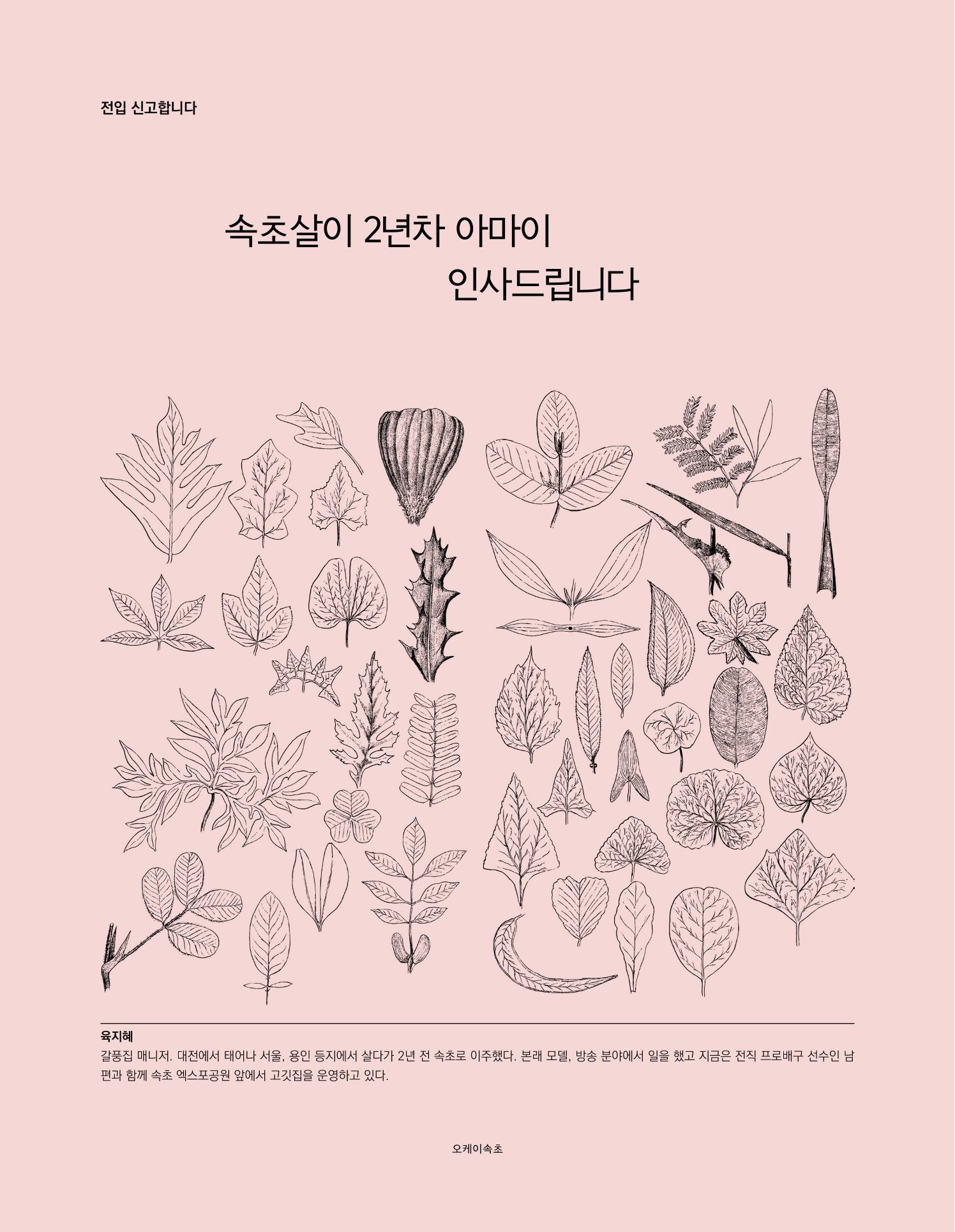 속초 문화특화지역조성사업 소식지 오케이속초 Vol. 5 20페이지