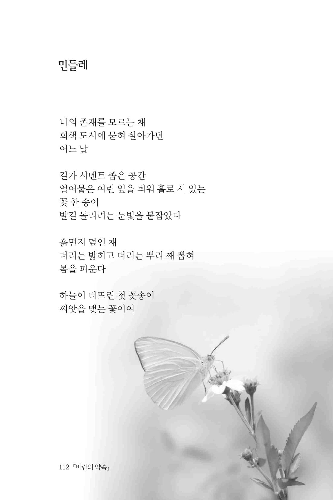 바람의 약속 113페이지
