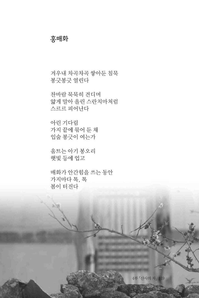 바람의 약속 120페이지