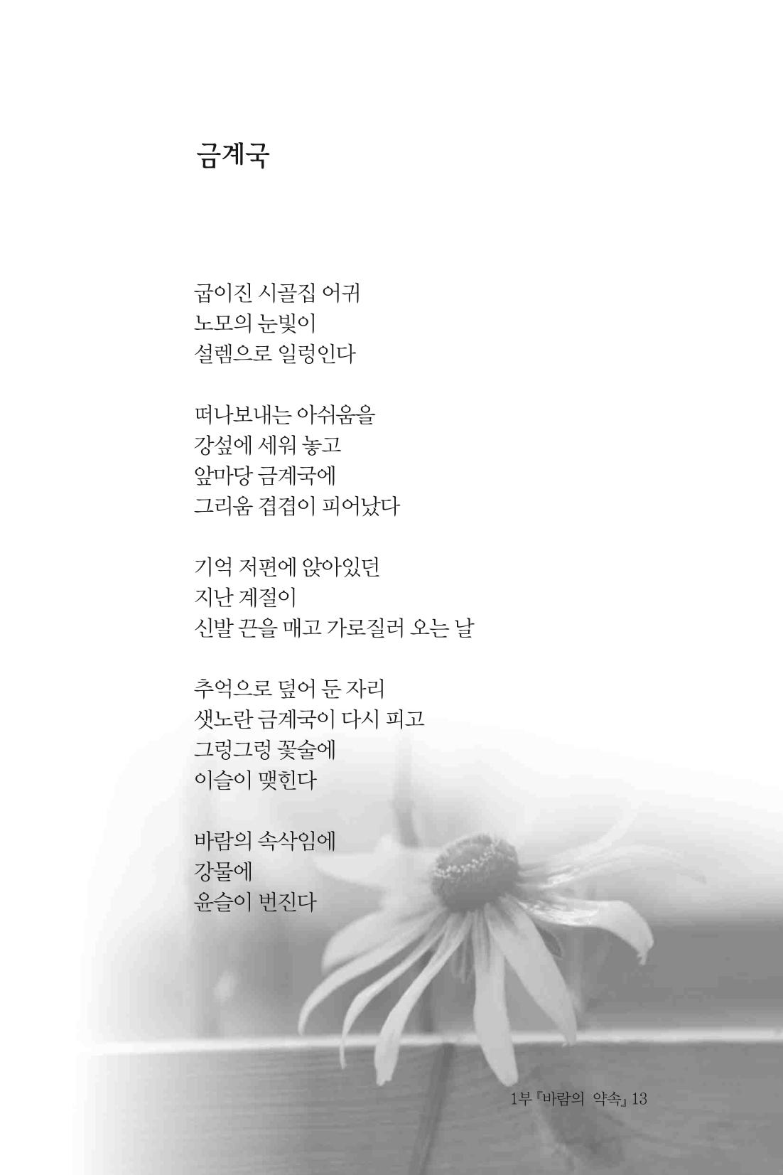 바람의 약속 14페이지