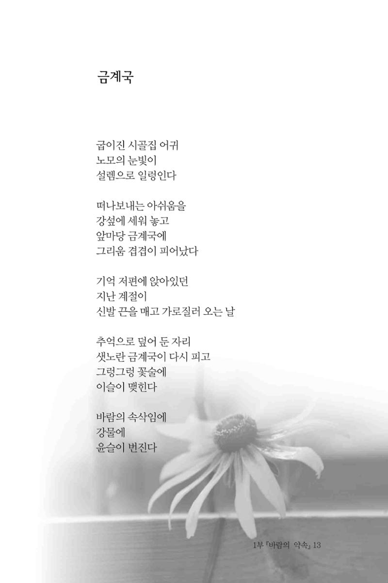 바람의 약속 14페이지