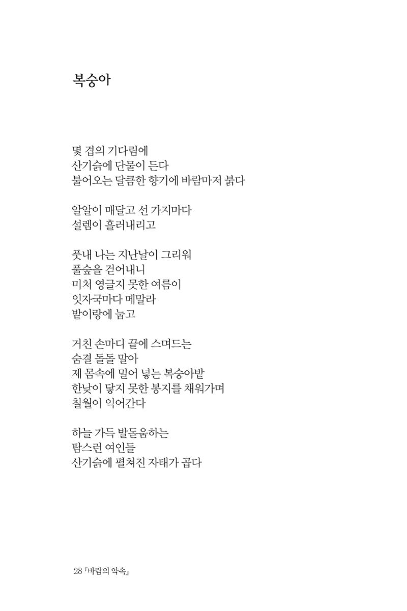 바람의 약속 29페이지