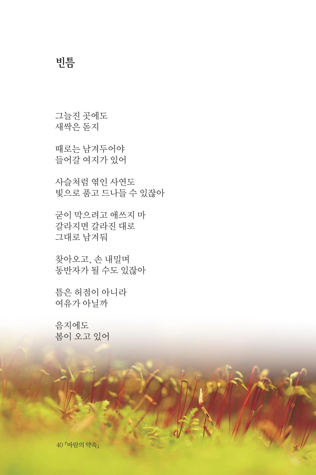 바람의 약속 41페이지