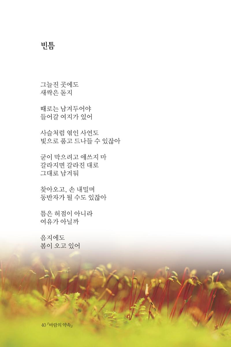 바람의 약속 41페이지