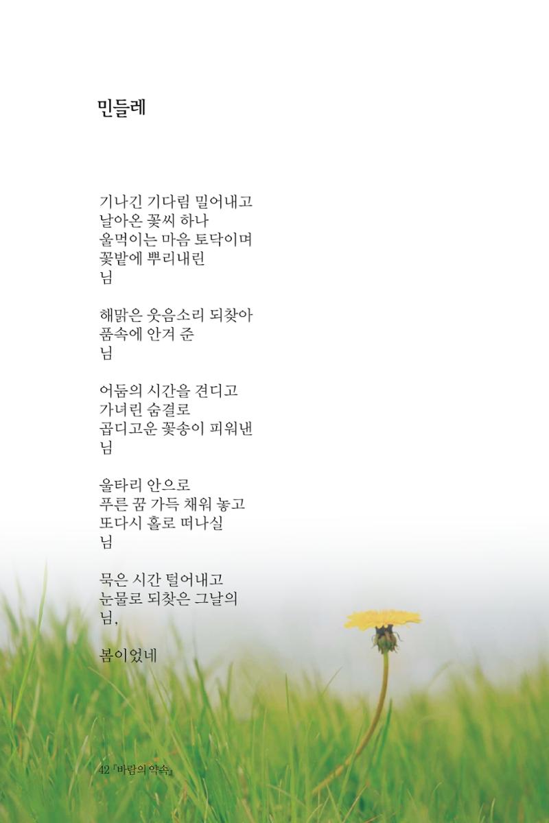 바람의 약속 43페이지
