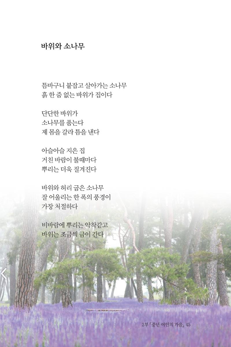 바람의 약속 46페이지