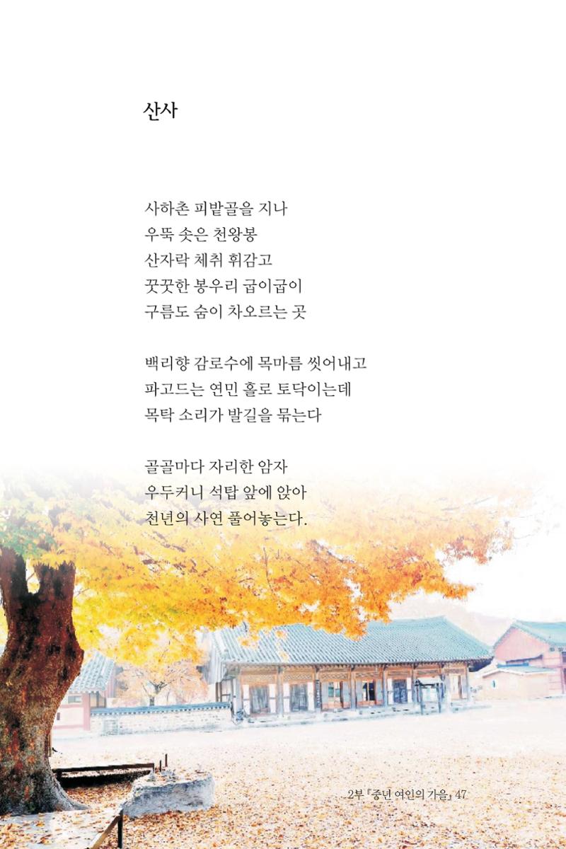 바람의 약속 48페이지