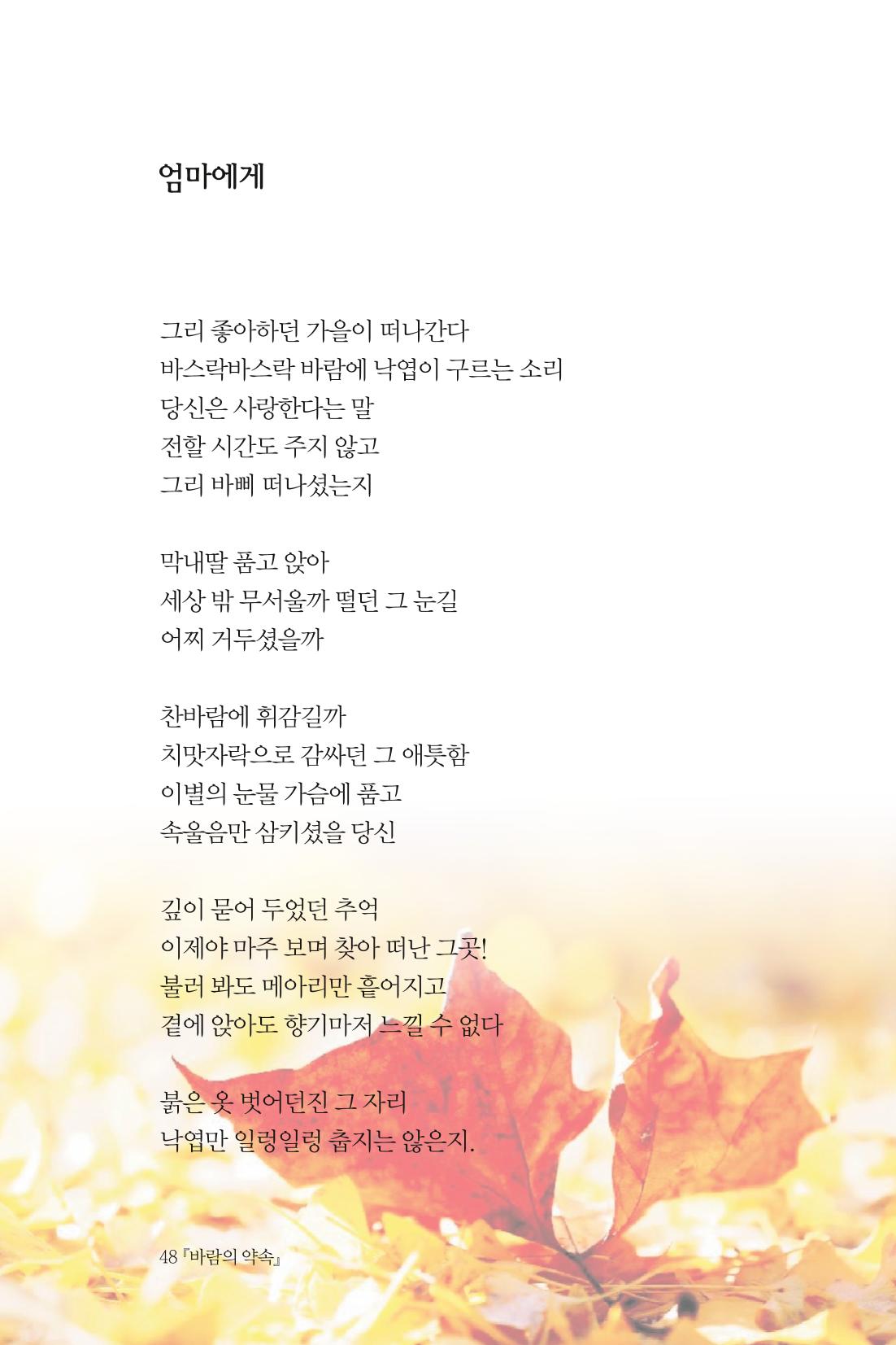 바람의 약속 49페이지