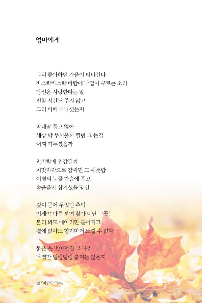 바람의 약속 49페이지