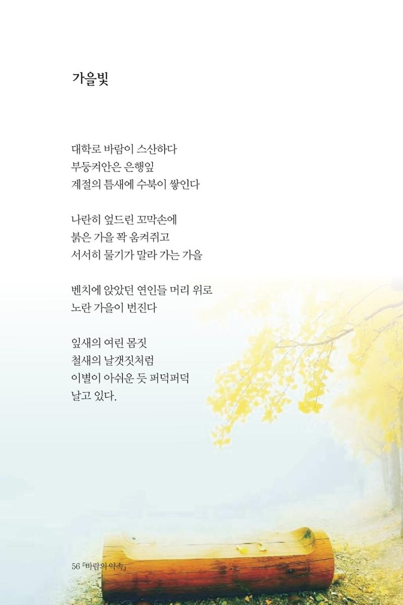 바람의 약속 57페이지