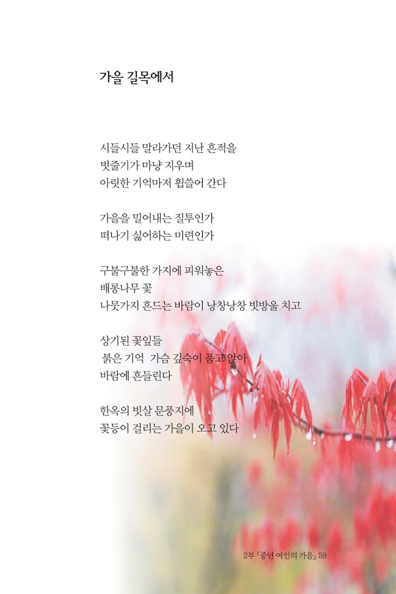 바람의 약속 60페이지