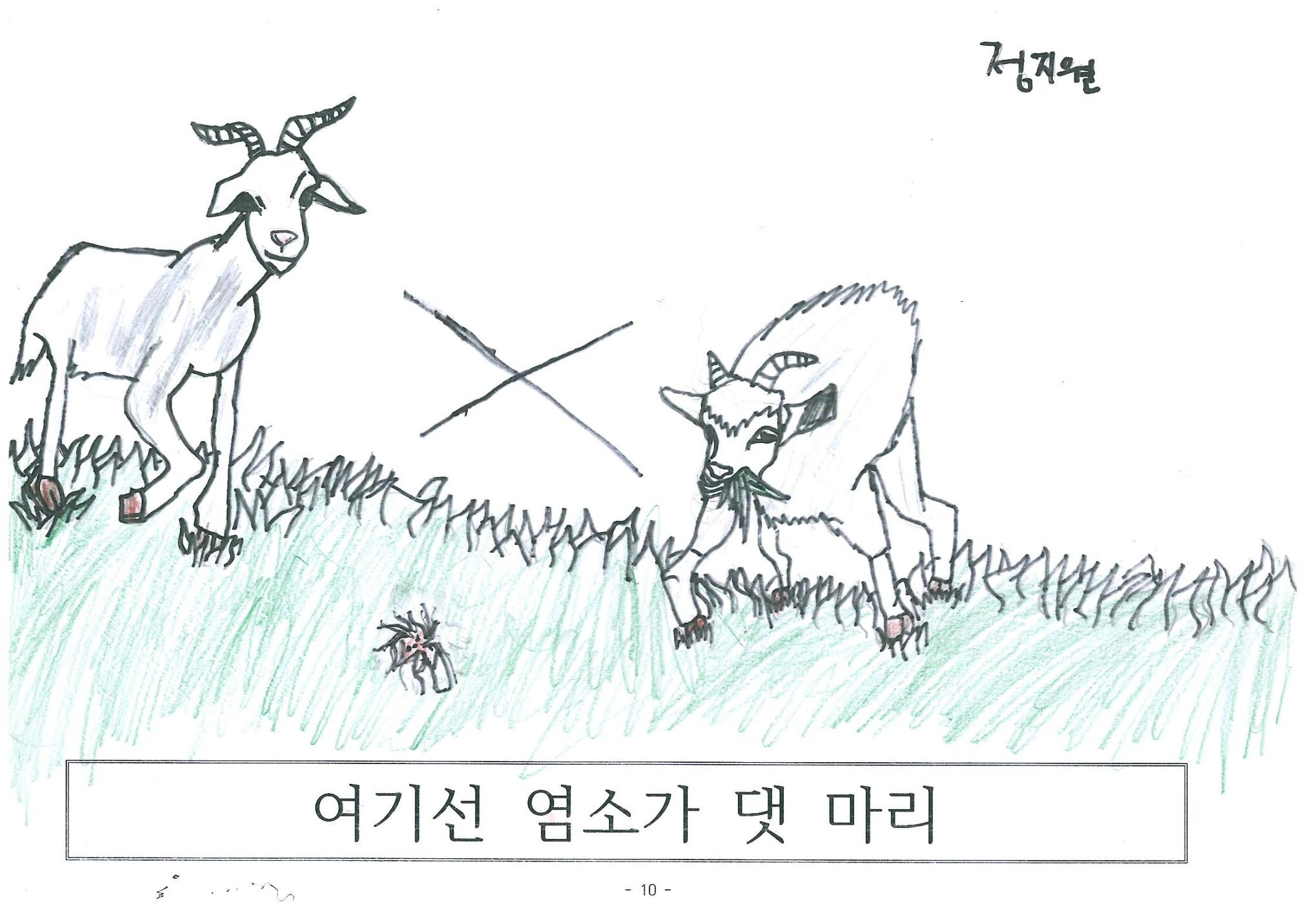 염소 4만원 12페이지
