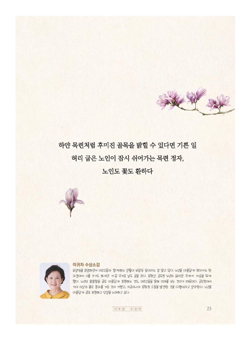 목련 꽃등 3페이지