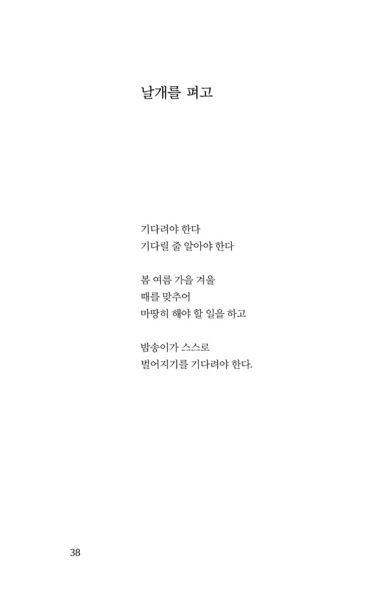 공존의 공감 39페이지