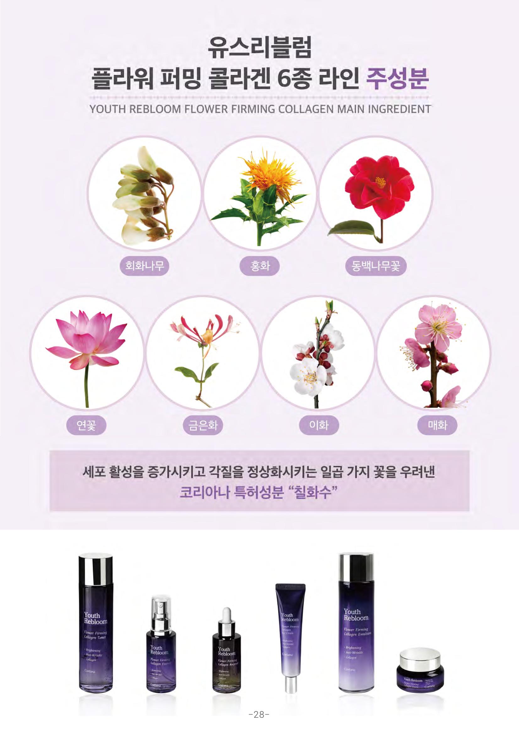 TPA글로벌 웹 카탈로그 29페이지
