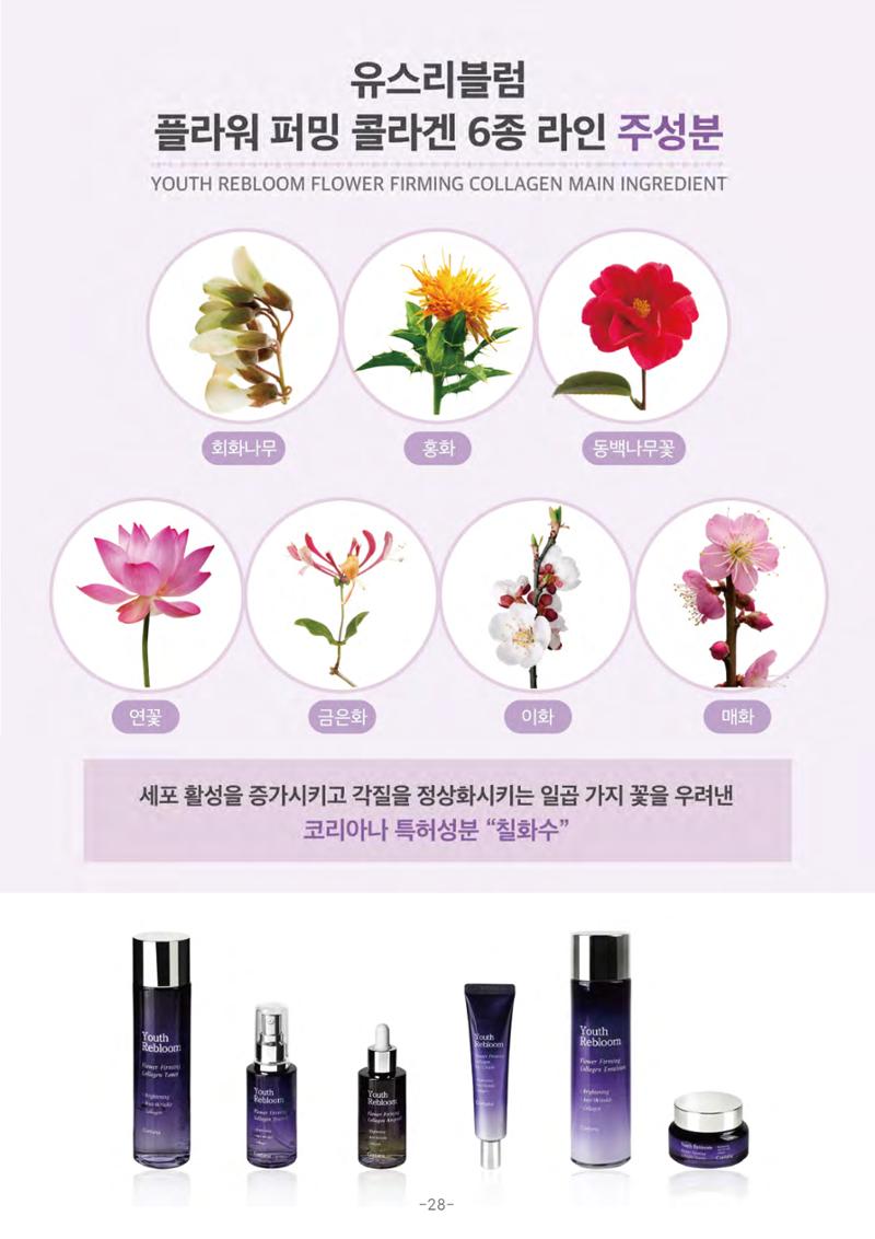 TPA글로벌 웹 카탈로그 29페이지
