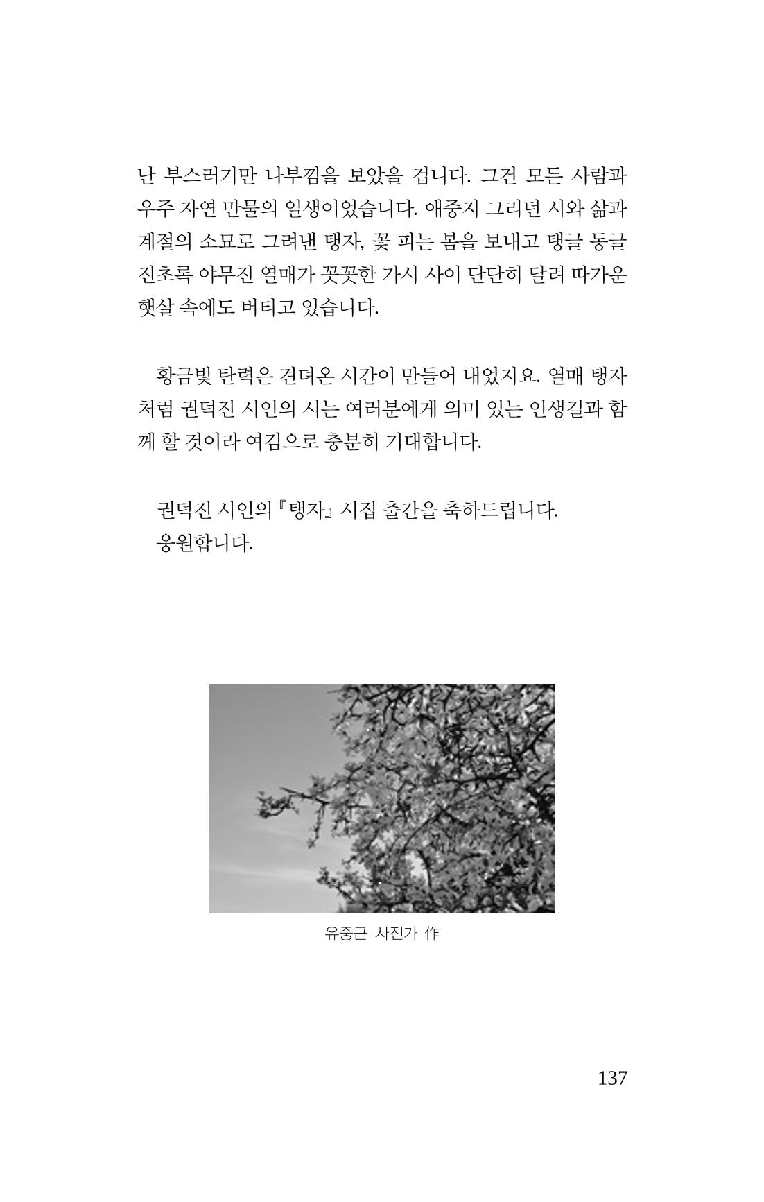 탱자 138페이지