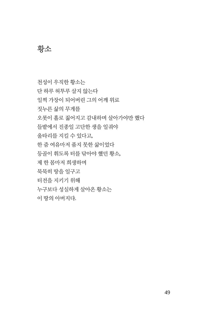 탱자 50페이지