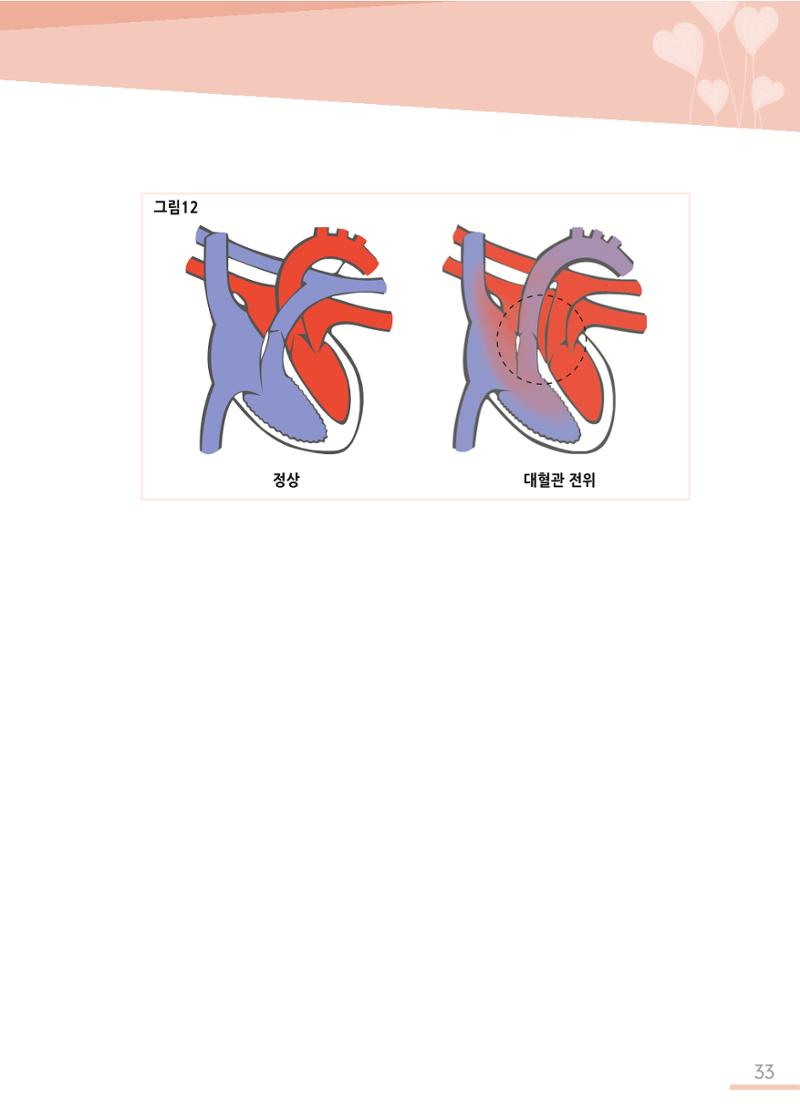 한국심장재단 심장수첩 34페이지