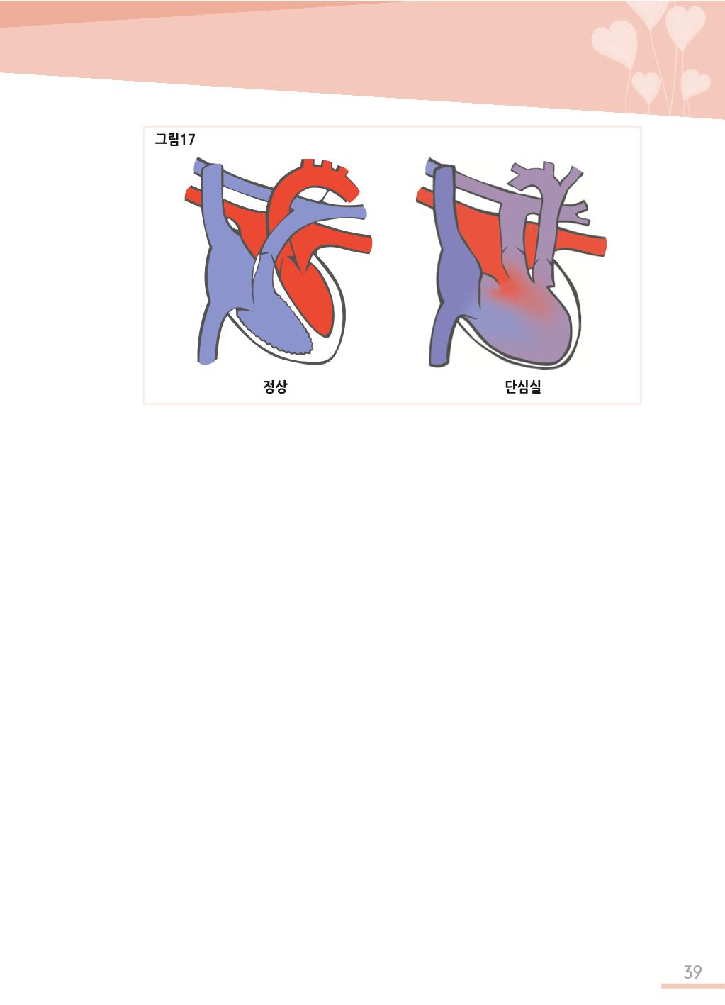 한국심장재단 심장수첩 40페이지