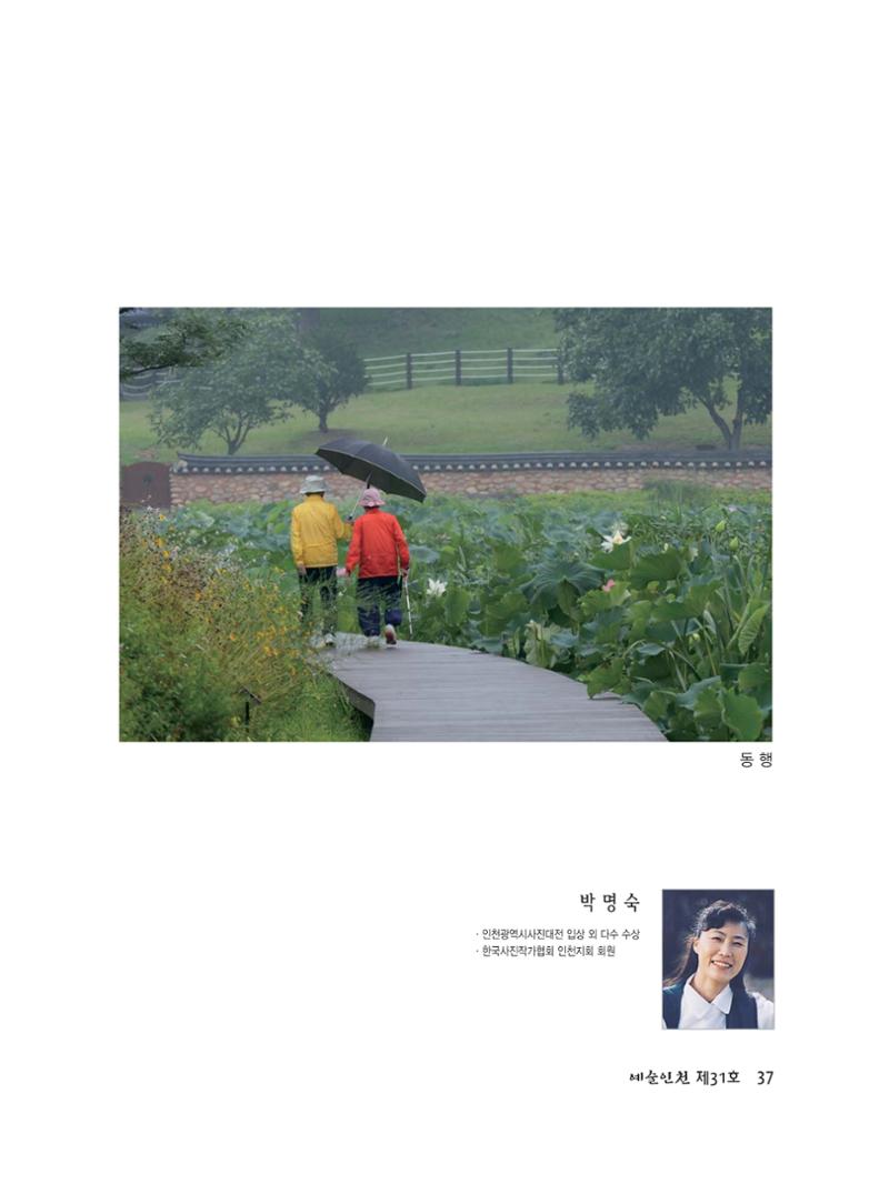 예술인천31호 39페이지