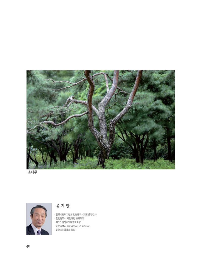 예술인천31호 42페이지