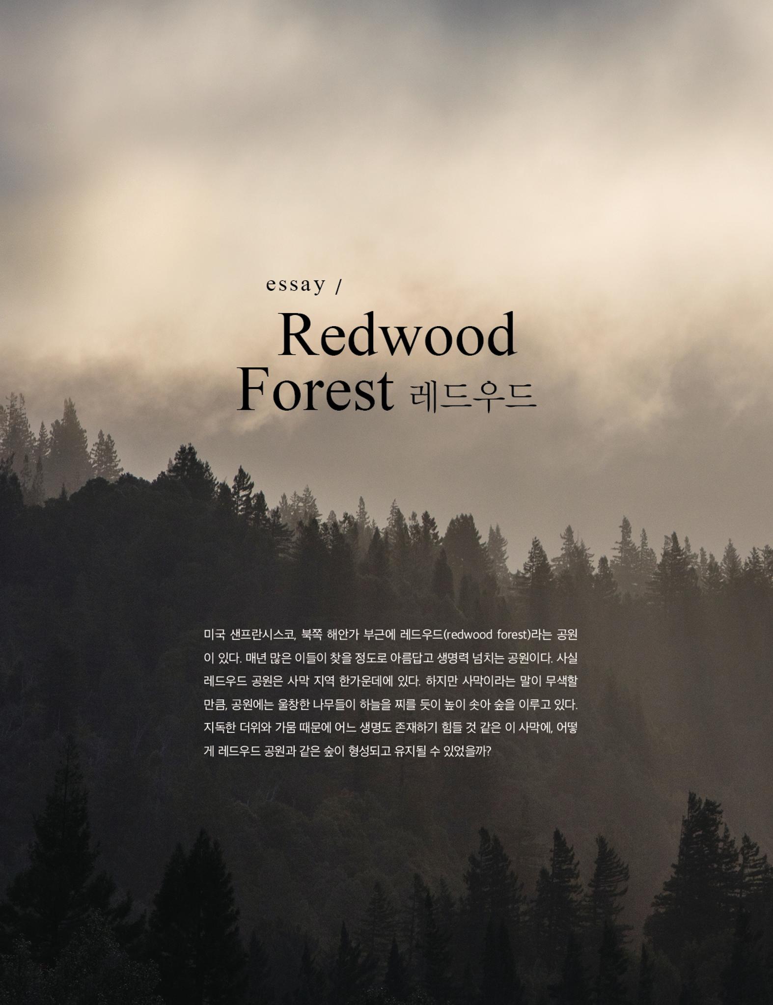 Roadmap Magazine Vol.01 25페이지