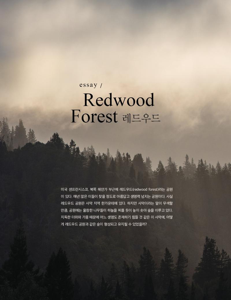 Roadmap Magazine Vol.01 25페이지