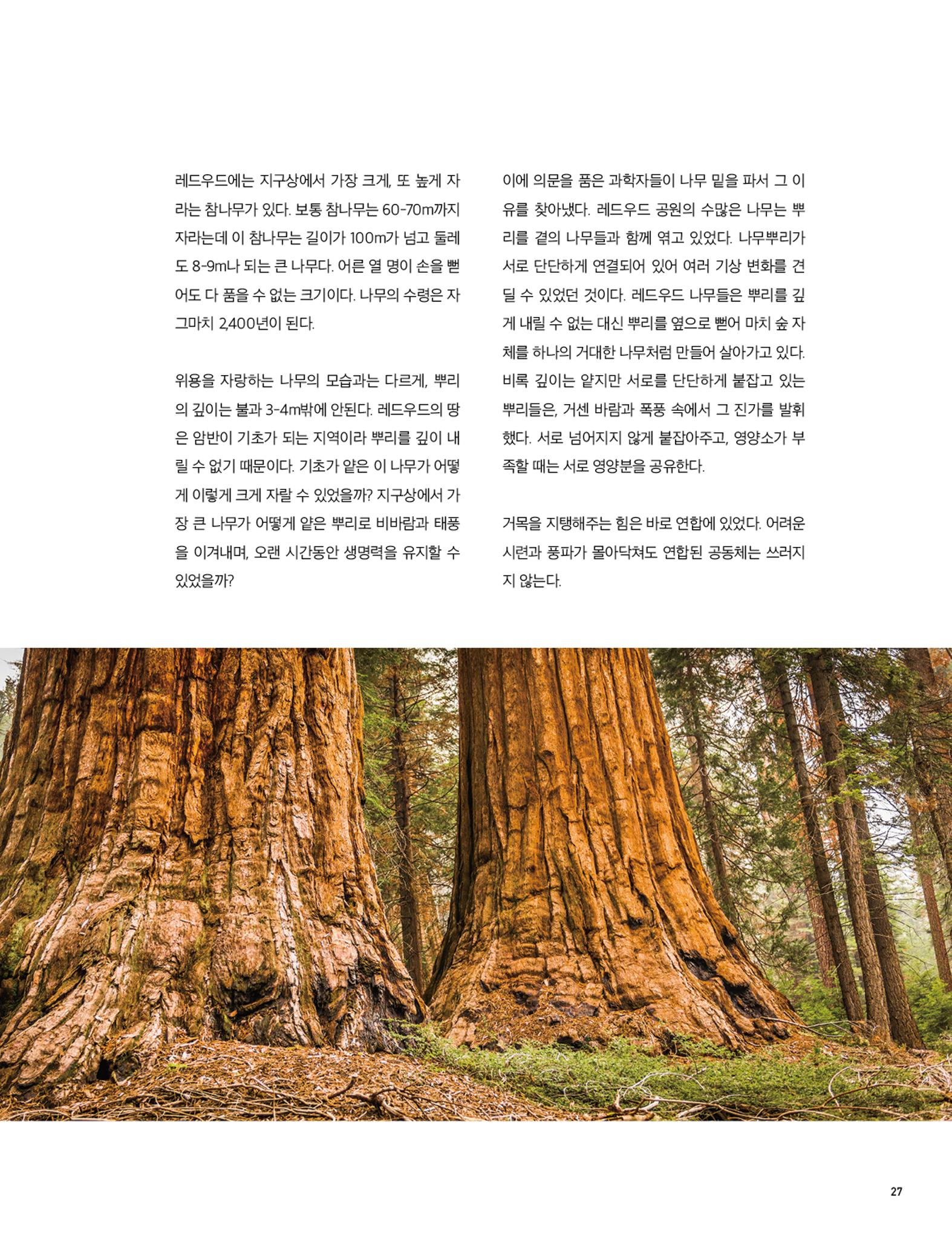 Roadmap Magazine Vol.01 28페이지