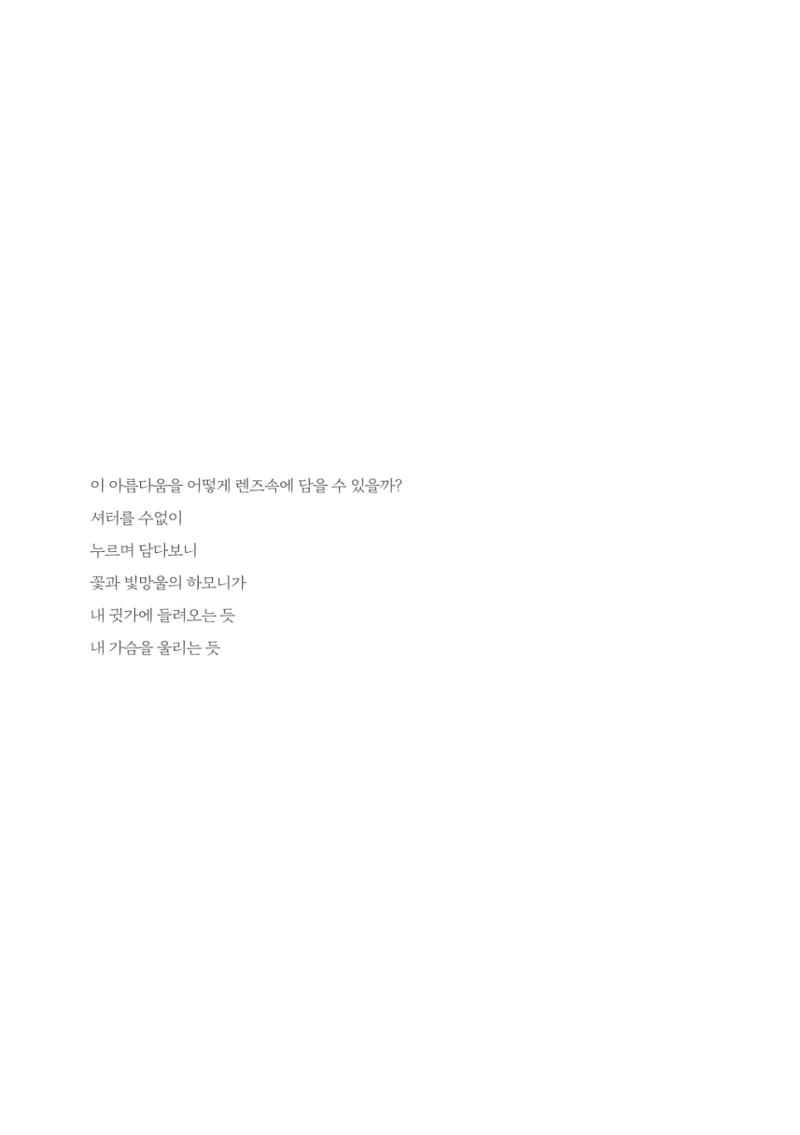 오예숙사진개인전도록 39페이지