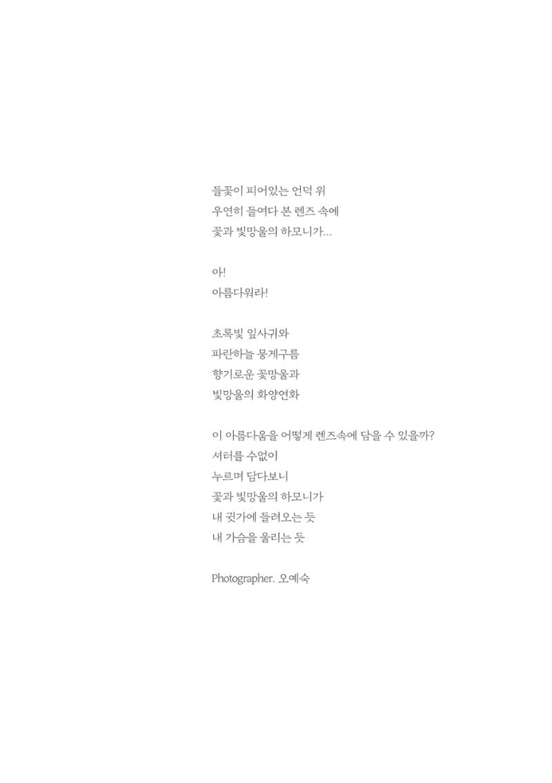 오예숙사진개인전도록 5페이지