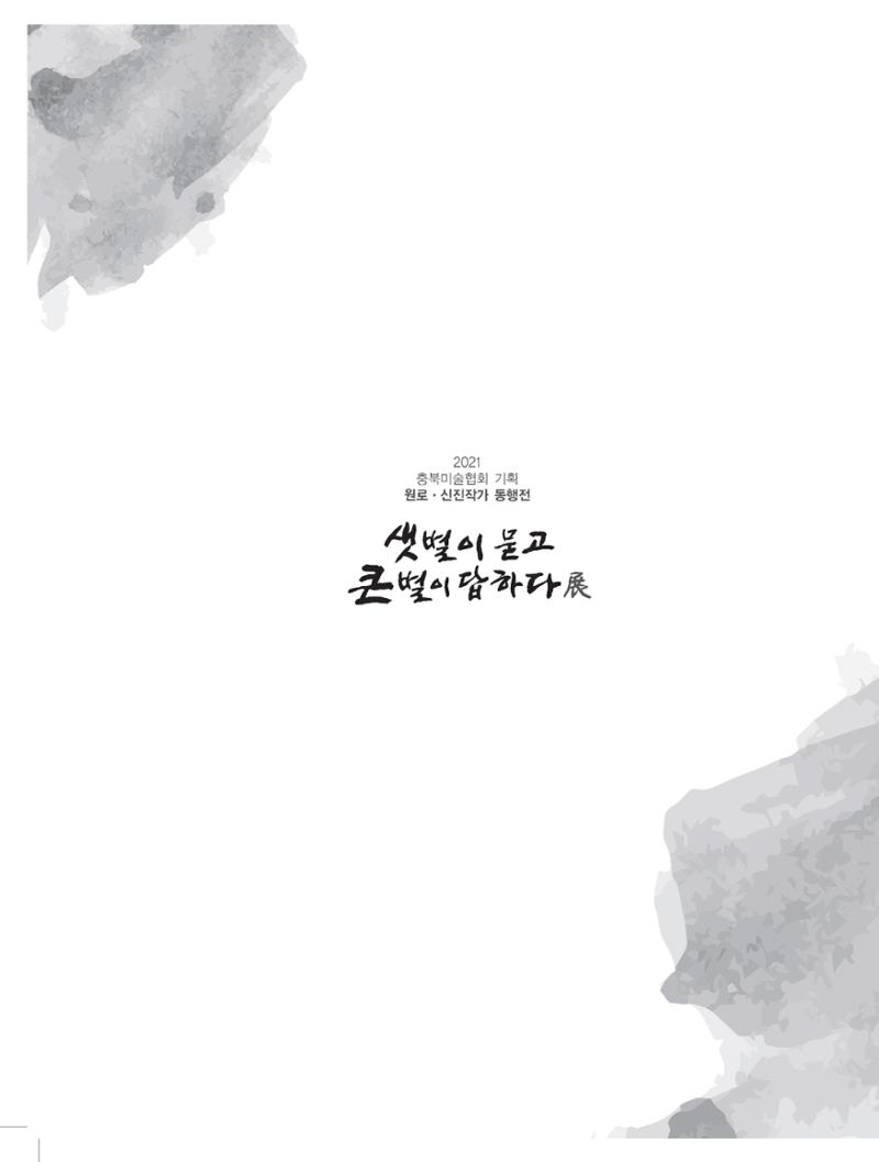2021년 충북미술협회 기획 원로 신진작가 동행전 샛별이 묻고 큰별이 답하다 展 44페이지