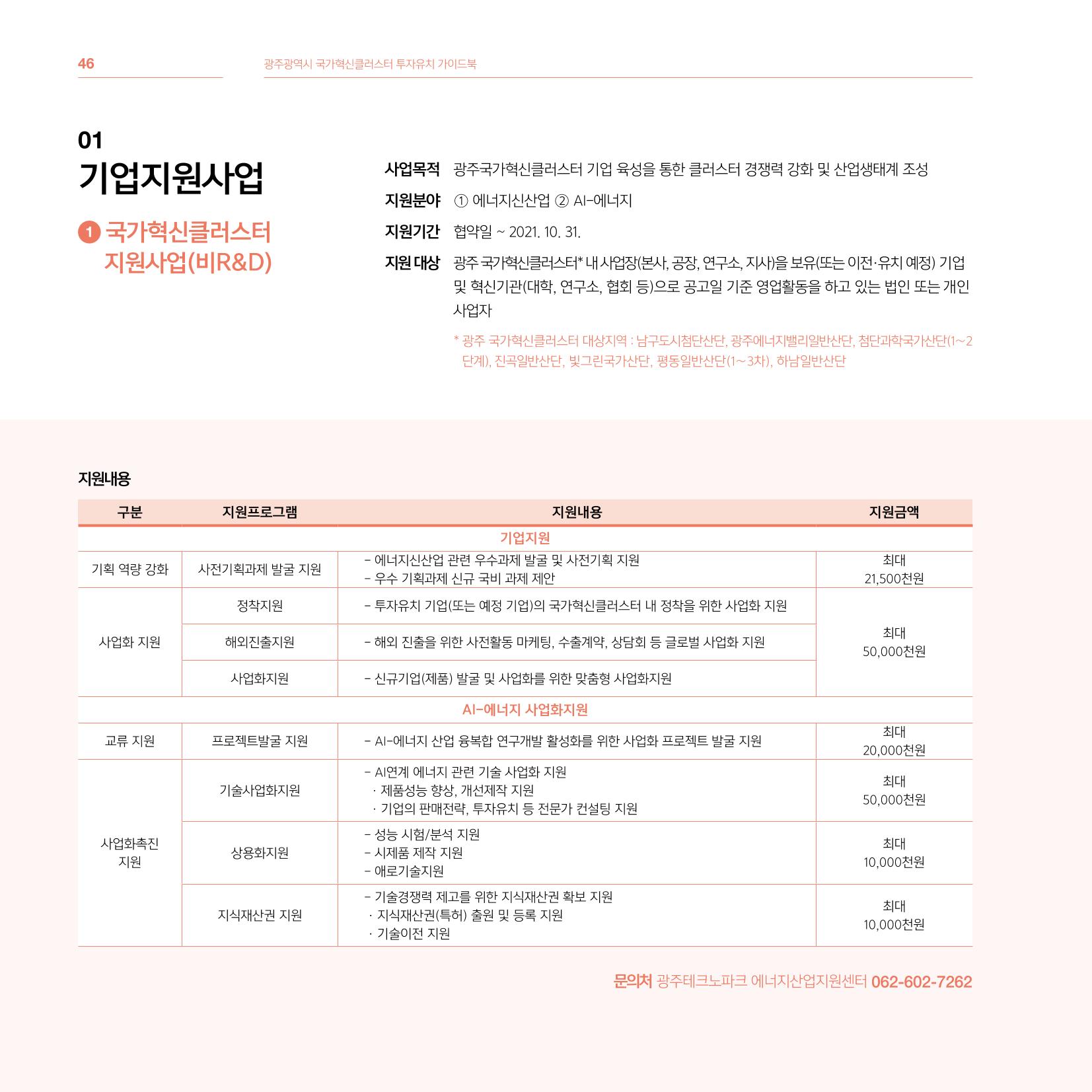 광주광역시 국가혁신클러스터 투자유치 가이드북 46페이지