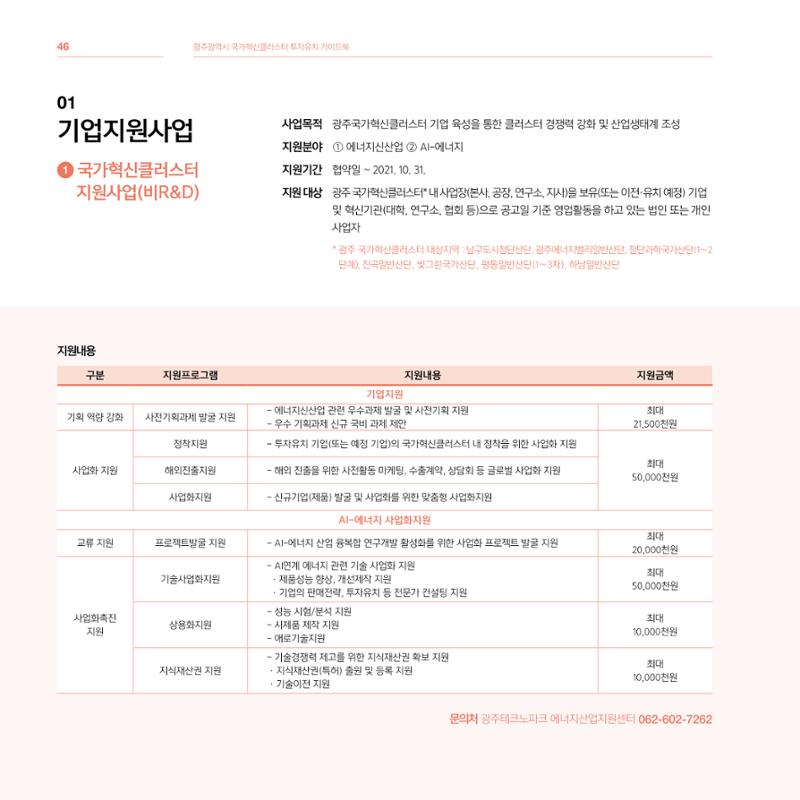 광주광역시 국가혁신클러스터 투자유치 가이드북 46페이지