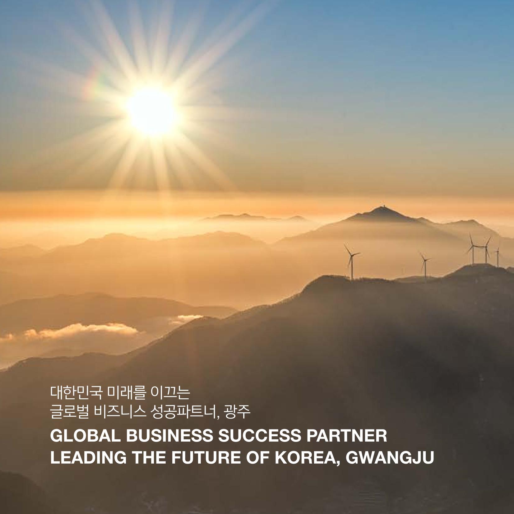광주광역시 국가혁신클러스터 투자유치 가이드북 6페이지