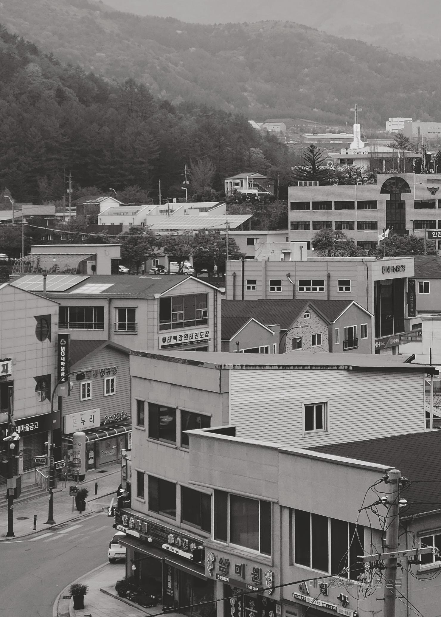 2021 탄광지역 융·복합 연구 사례집 19페이지