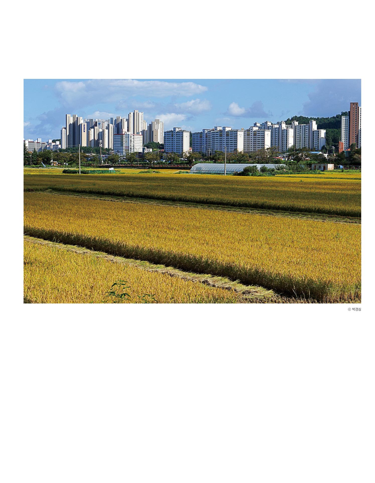 속초문화특화지역조성사업 소식지 오케이속초 Vol. 8 15페이지