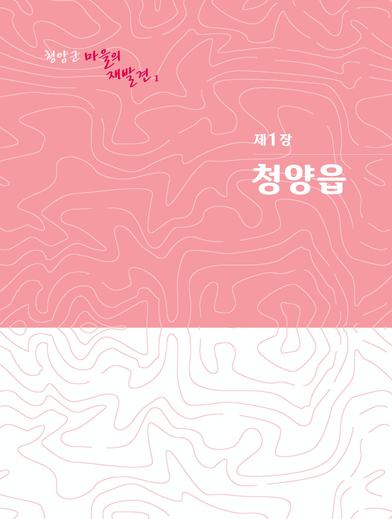 청양군 마을의 재발견1 15페이지
