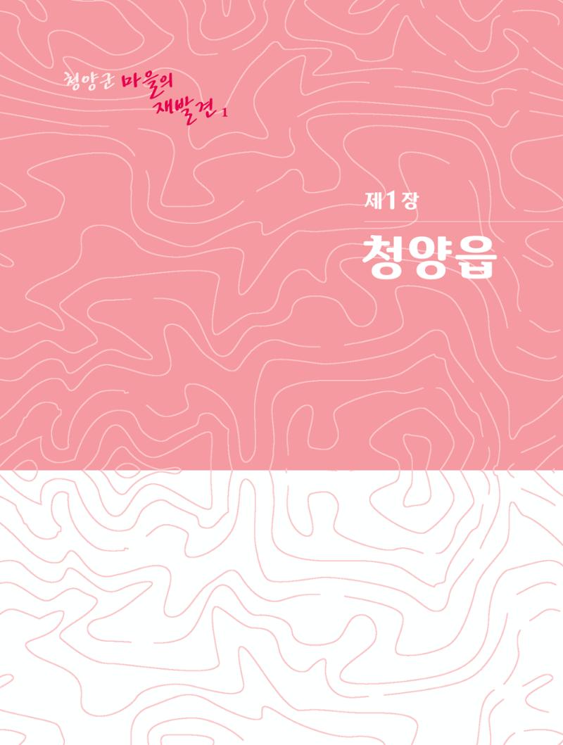 청양군 마을의 재발견1 15페이지