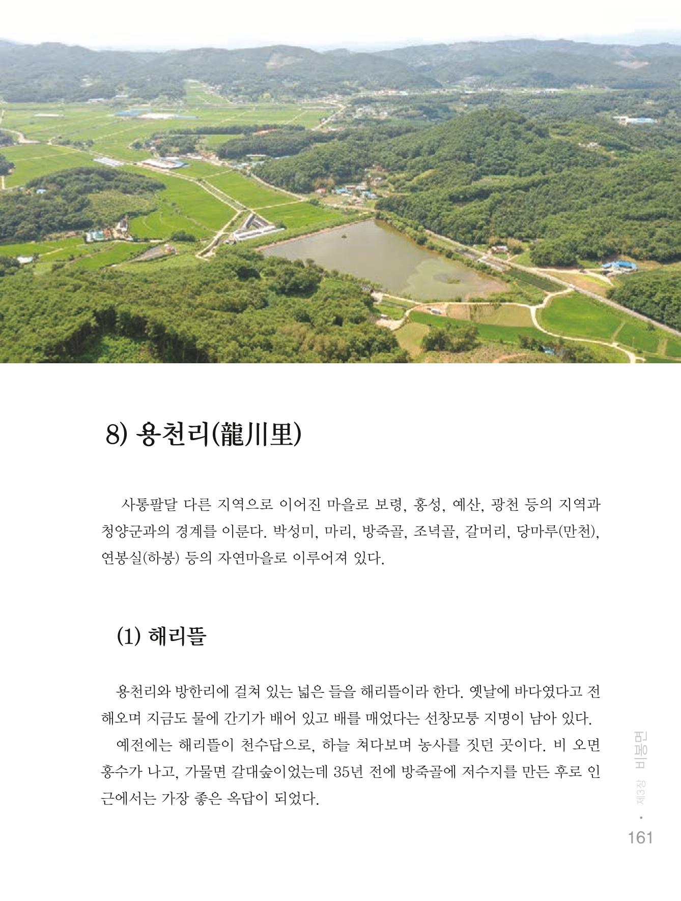 청양군 마을의 재발견1 163페이지