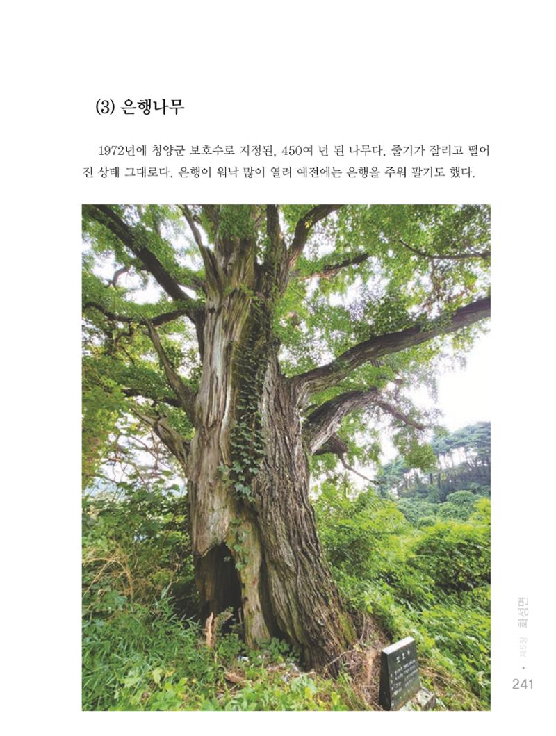 청양군 마을의 재발견1 243페이지